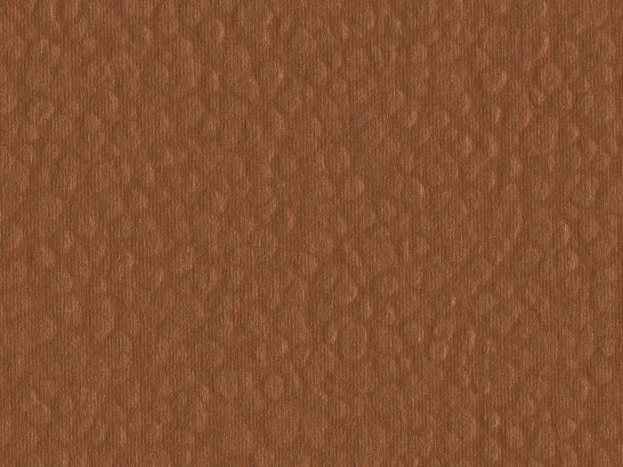 cmh64531 flat plane.jpg.700x525 q80 autocrop crop smart zoom 100 1