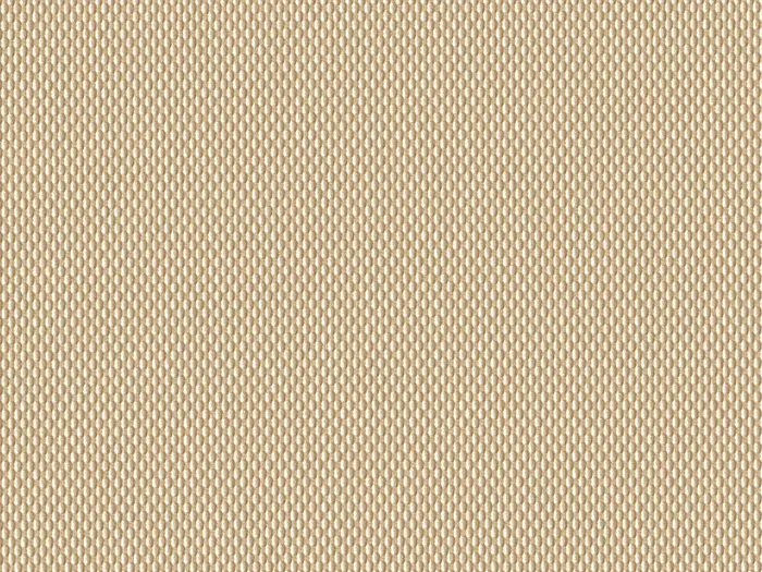 cmw47667 flat plane.jpg.700x525 q80 autocrop crop smart zoom 100 1