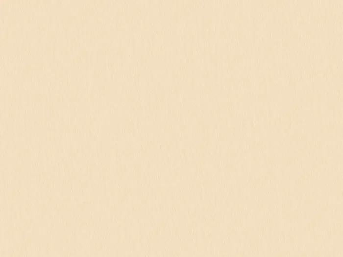 cpm2201 flat plane.jpg.700x525 q80 autocrop crop smart zoom 100 1