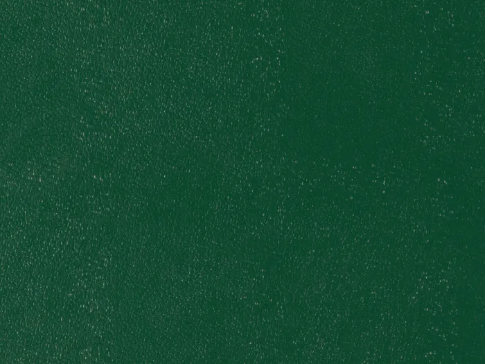 ecp14506 5000 3333.jpg.700x525 q80 autocrop crop smart zoom 100 1