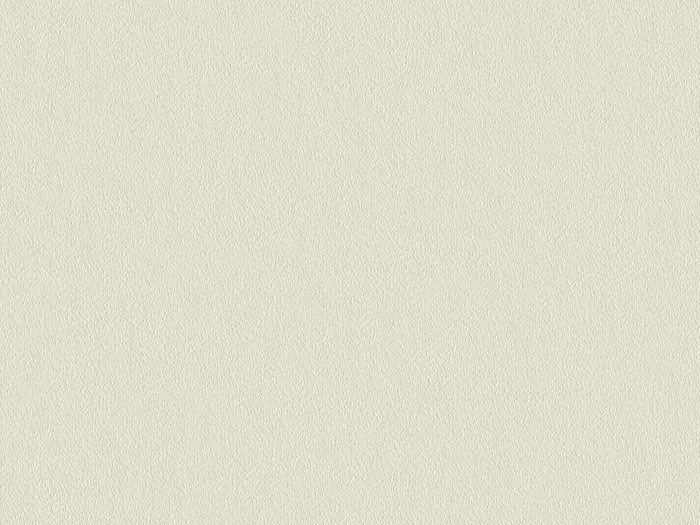 emc60004 flat plane.jpg.700x525 q80 autocrop crop smart zoom 100 1