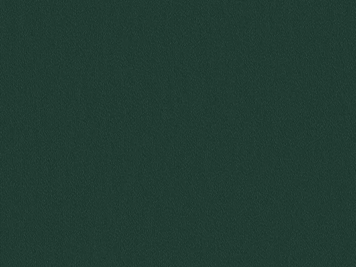 emc60006 flat plane.jpg.700x525 q80 autocrop crop smart zoom 100 1