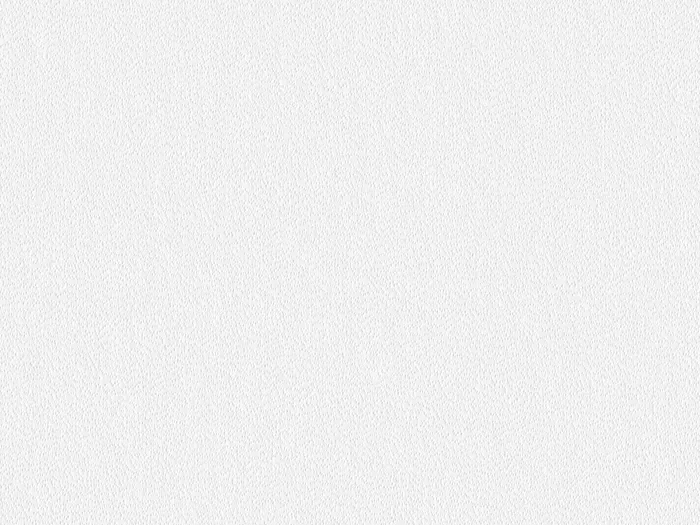 emc60007 flat plane.jpg.700x525 q80 autocrop crop smart zoom 100 1