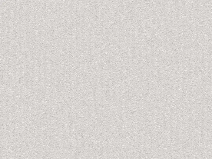 emc60008 flat plane.jpg.700x525 q80 autocrop crop smart zoom 100 1