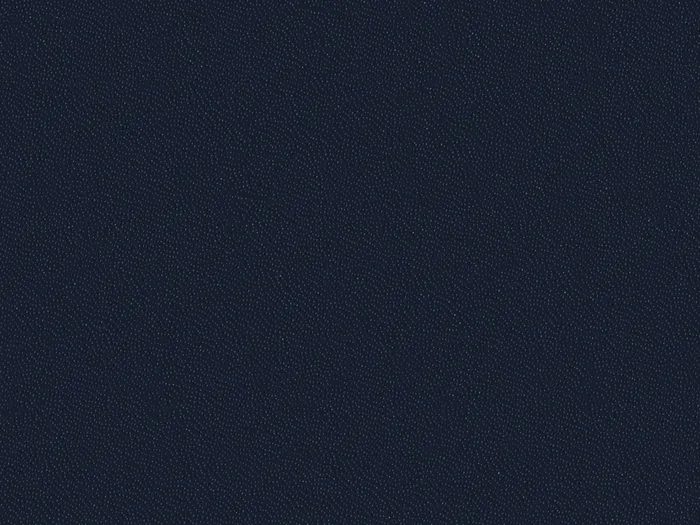 eps60013 flat plane.jpg.700x525 q80 autocrop crop smart zoom 100 1