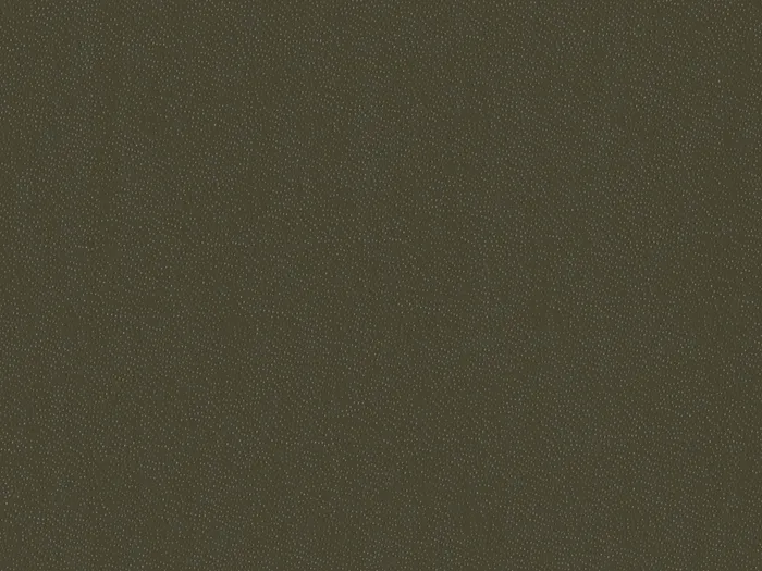 eps60014 flat plane.jpg.700x525 q80 autocrop crop smart zoom 100 1