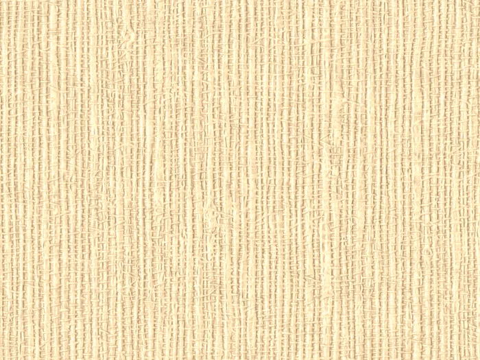 nab2013 flat plane.jpg.700x525 q80 autocrop crop smart zoom 100