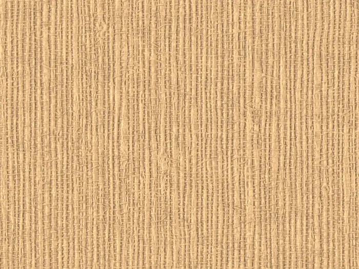 nab2015 flat plane.jpg.700x525 q80 autocrop crop smart zoom 100