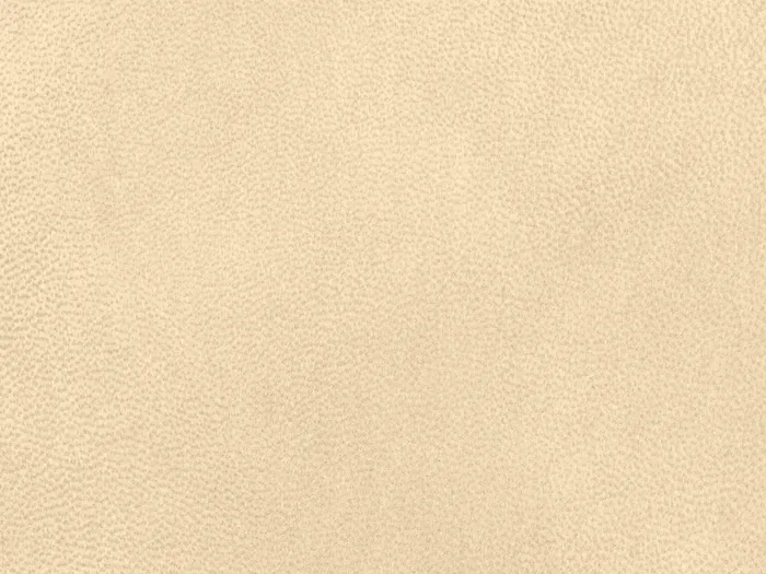 nabr002 flat plane.jpg.700x525 q80 autocrop crop smart zoom 100