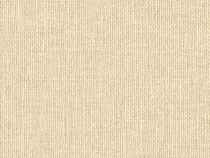 nac8013 flat plane.jpg.700x525 q80 autocrop crop smart zoom 100 1