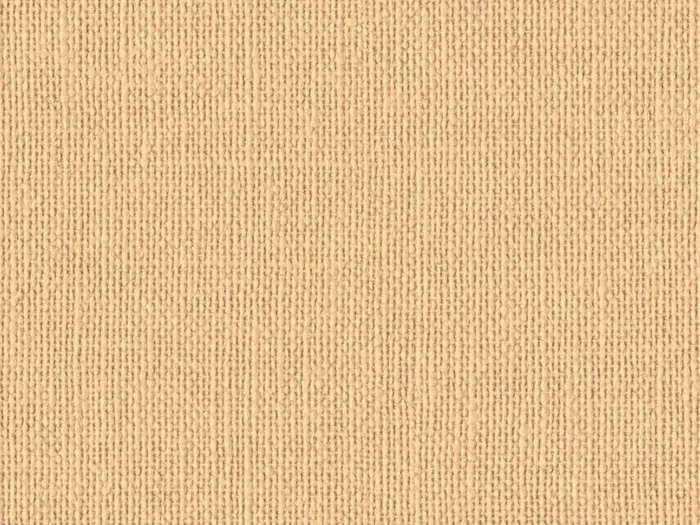 nac8015 flat plane.jpg.700x525 q80 autocrop crop smart zoom 100 1