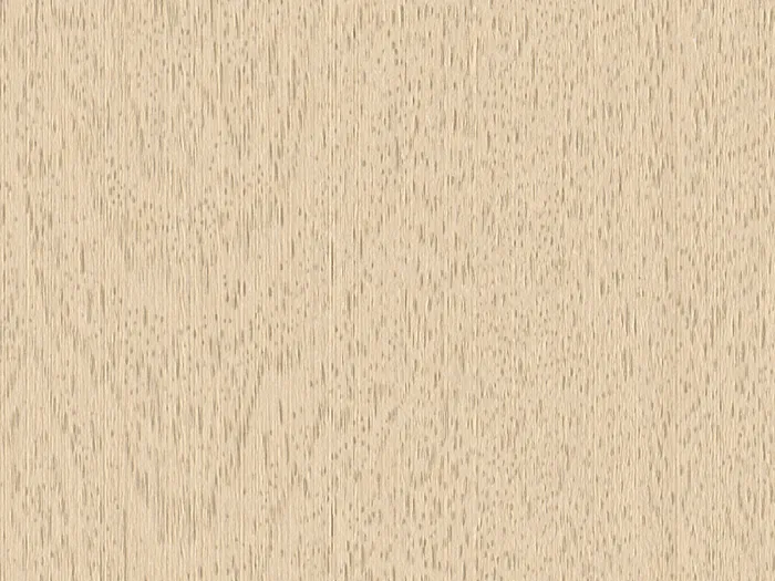 nam5013 flat plane.jpg.700x525 q80 autocrop crop smart zoom 100 1