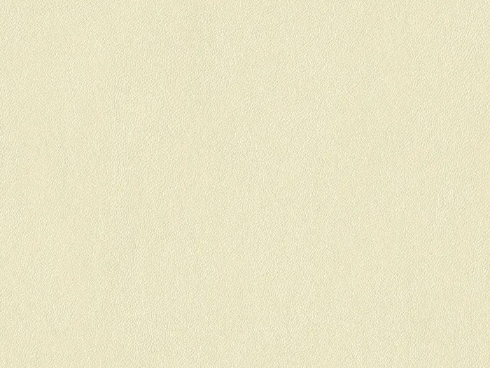 nap6776 flat plane.jpg.700x525 q80 autocrop crop smart zoom 100 1