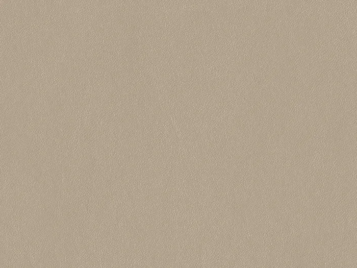 nap6783 flat plane.jpg.700x525 q80 autocrop crop smart zoom 100 1