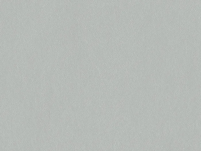 nap6785 flat plane.jpg.700x525 q80 autocrop crop smart zoom 100 1