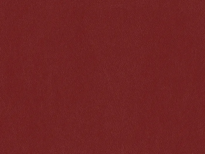 nap6786 flat plane.jpg.700x525 q80 autocrop crop smart zoom 100 1