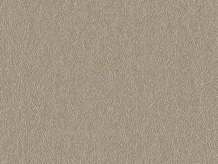 nap6793 flat plane.jpg.700x525 q80 autocrop crop smart zoom 100 1