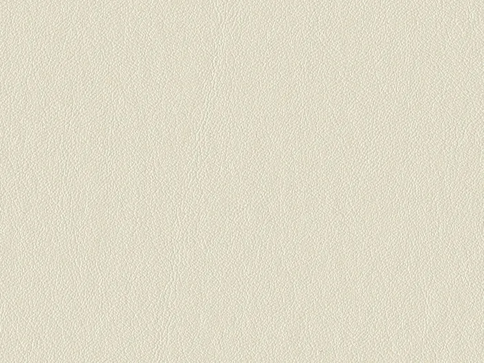 nap6795 flat plane.jpg.700x525 q80 autocrop crop smart zoom 100 1