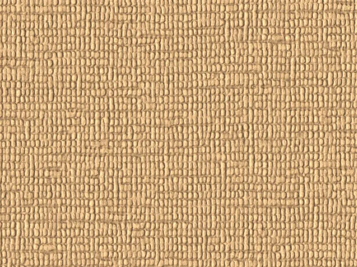 nka4015 flat plane.jpg.700x525 q80 autocrop crop smart zoom 100 1