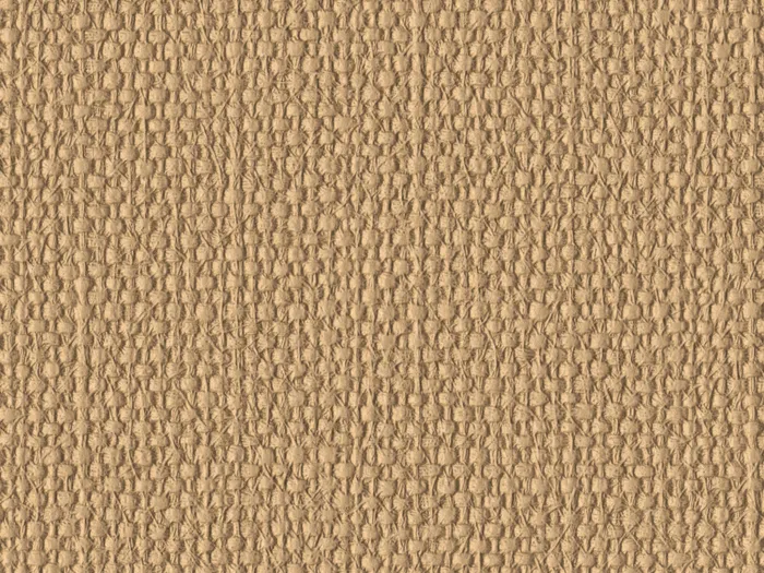 nsi3015 flat plane.jpg.700x525 q80 autocrop crop smart zoom 100 1