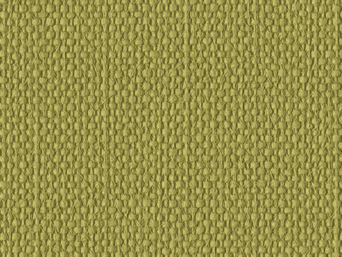 nsi3051 flat plane.jpg.700x525 q80 autocrop crop smart zoom 100 1