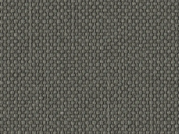 nsi3064 flat plane.jpg.700x525 q80 autocrop crop smart zoom 100 1