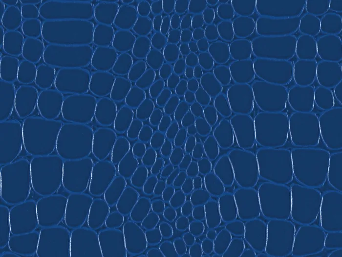 pec9181 flat plane.jpg.700x525 q80 autocrop crop smart zoom 100