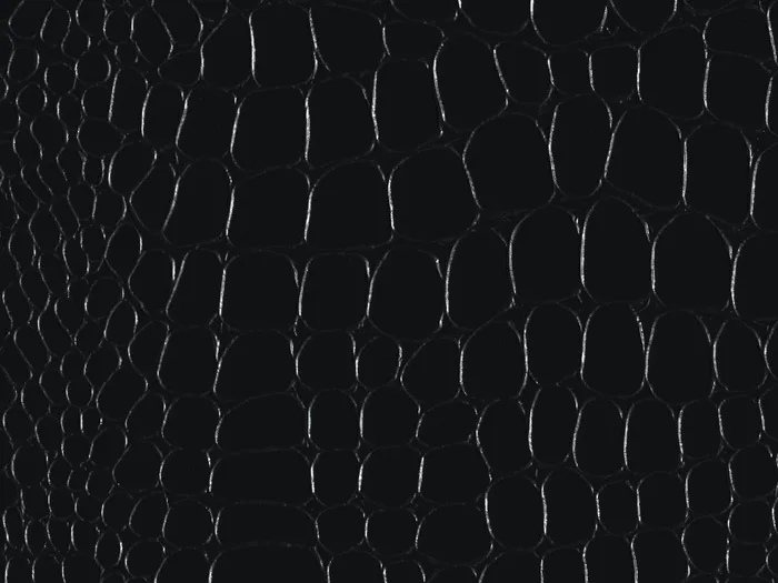 pec9188 flat plane.jpg.700x525 q80 autocrop crop smart zoom 100