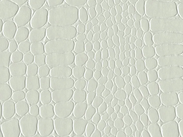 pec9195 flat plane.jpg.700x525 q80 autocrop crop smart zoom 100