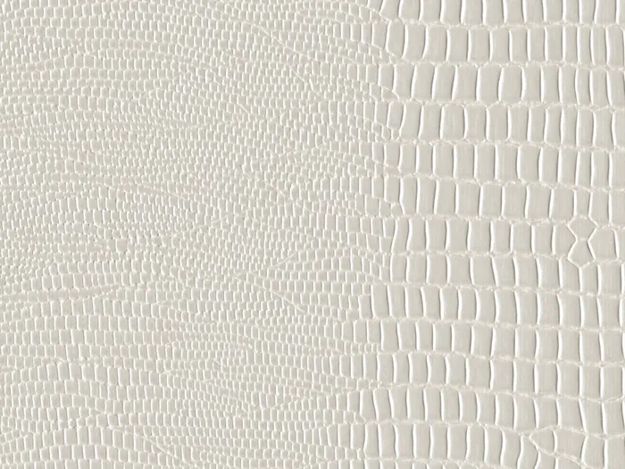 pei9401 flat plane.jpg.700x525 q80 autocrop crop smart zoom 100 1