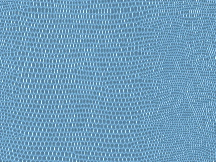 pel9145 flat plane.jpg.700x525 q80 autocrop crop smart zoom 100 1