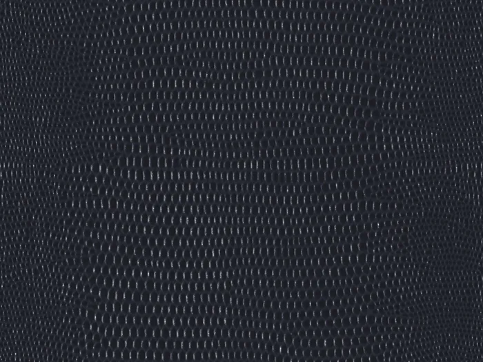 pel9154 flat plane.jpg.700x525 q80 autocrop crop smart zoom 100 1