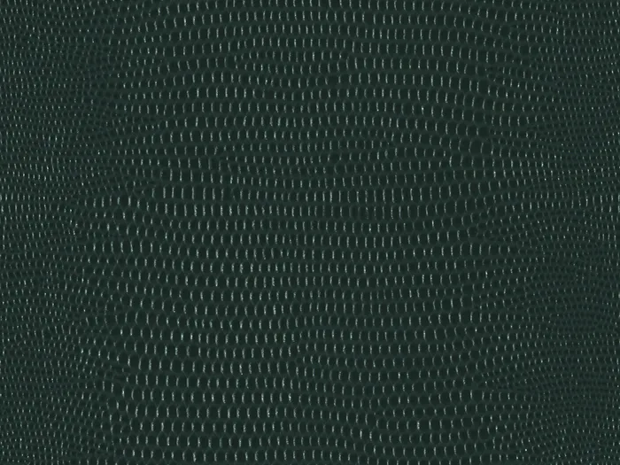 pel9157 flat plane.jpg.700x525 q80 autocrop crop smart zoom 100 1