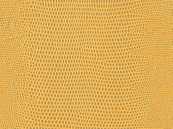 pel9160 flat plane.jpg.700x525 q80 autocrop crop smart zoom 100 1