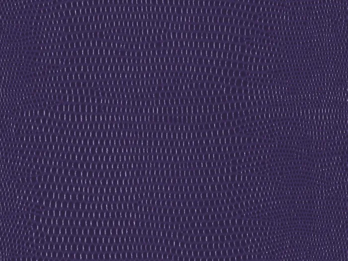 pel9165 flat plane.jpg.700x525 q80 autocrop crop smart zoom 100 1