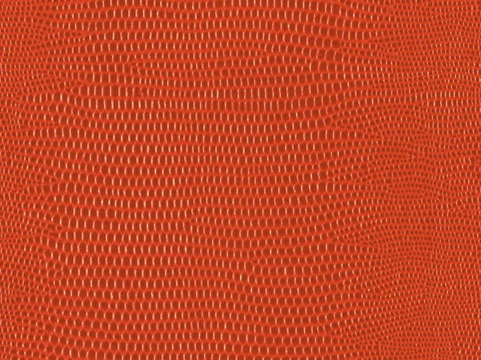 pel9166 flat plane.jpg.700x525 q80 autocrop crop smart zoom 100 1