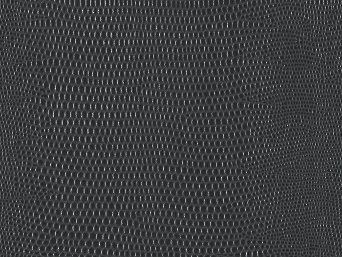 pel9167 flat plane.jpg.700x525 q80 autocrop crop smart zoom 100 1