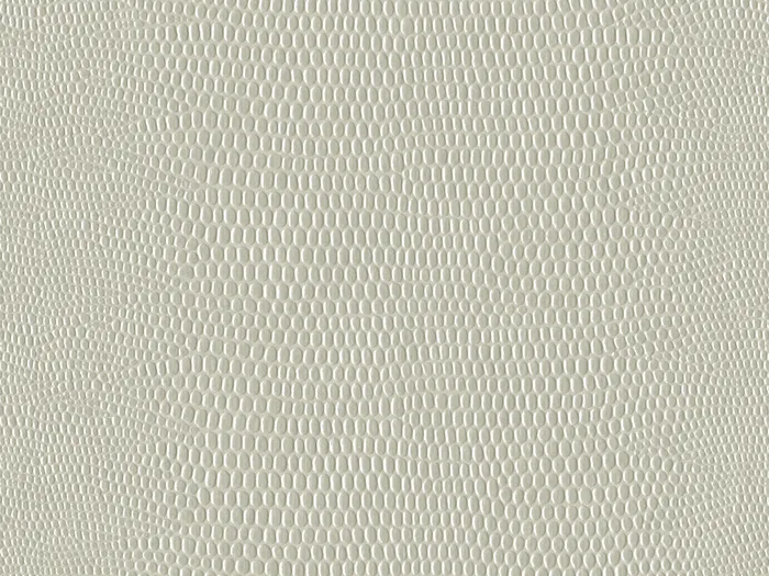 pel9169 flat plane.jpg.700x525 q80 autocrop crop smart zoom 100 1