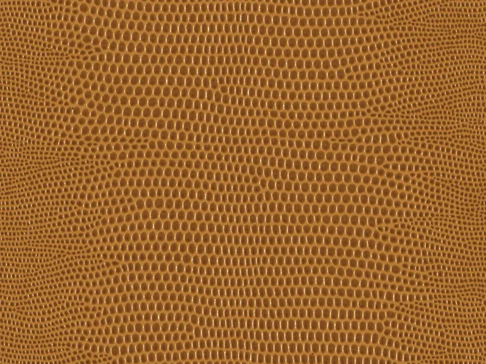 pel9238 flat plane.jpg.700x525 q80 autocrop crop smart zoom 100 1