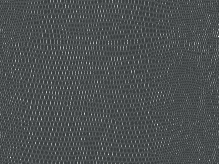 pel9240 flat plane.jpg.700x525 q80 autocrop crop smart zoom 100 1