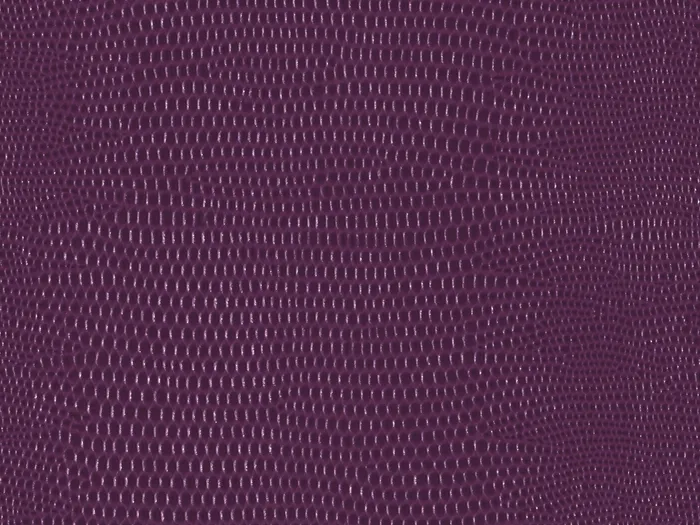 pel9241 flat plane.jpg.700x525 q80 autocrop crop smart zoom 100 1