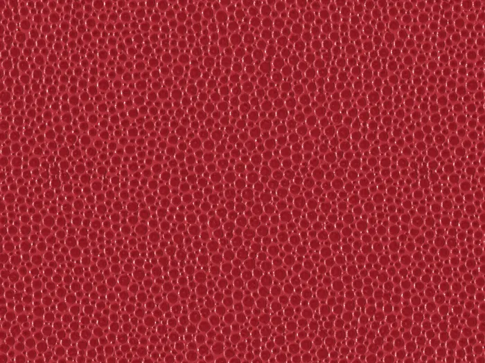 pem9226 flat plane.jpg.700x525 q80 autocrop crop smart zoom 100 1