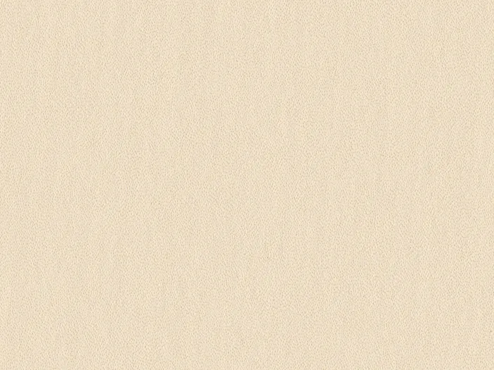 pre8613 flat plane.jpg.700x525 q80 autocrop crop smart zoom 100 1