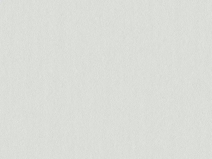 pre8619 flat plane.jpg.700x525 q80 autocrop crop smart zoom 100 1