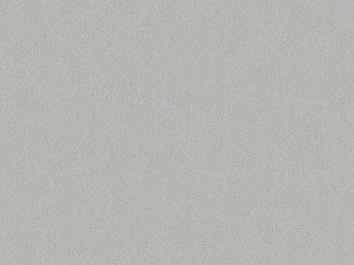 pre8621 flat plane.jpg.700x525 q80 autocrop crop smart zoom 100 1