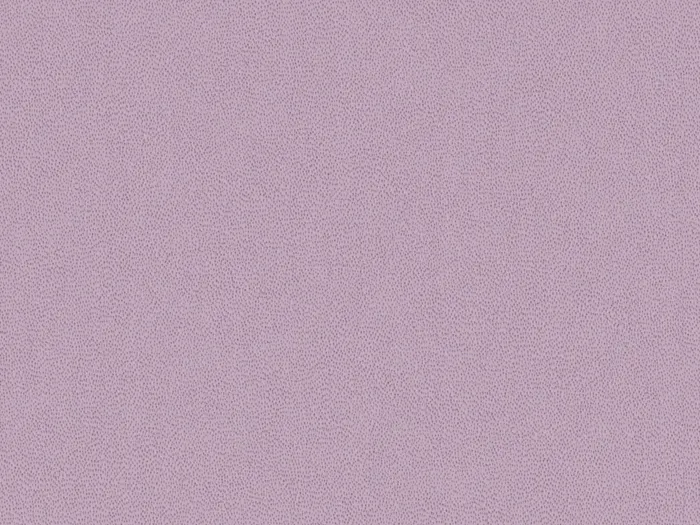 pre8624 flat plane.jpg.700x525 q80 autocrop crop smart zoom 100 1