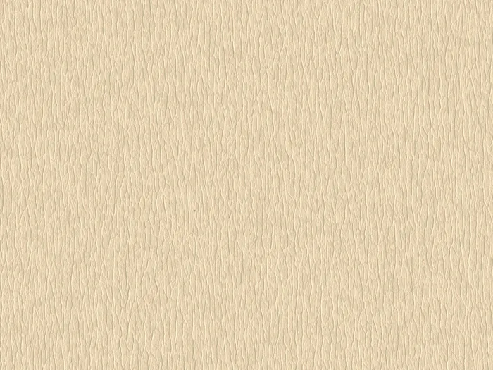 rna95506 flat plane.jpg.700x525 q80 autocrop crop smart zoom 100 1