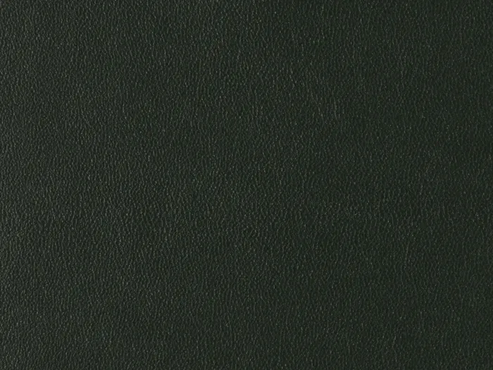 zib2003 5000 3333.jpg.700x525 q80 autocrop crop smart zoom 100 1