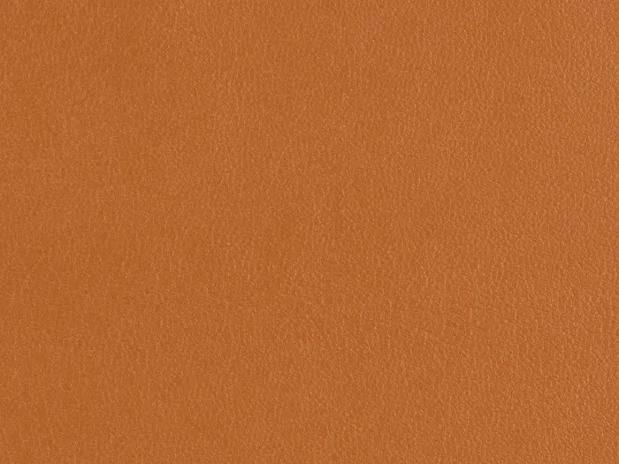 zib2006 5000 3333.jpg.700x525 q80 autocrop crop smart zoom 100 1