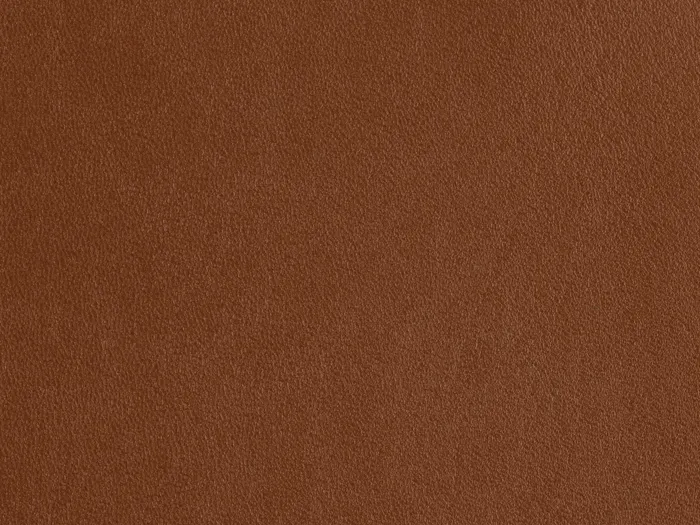 zib2007 5000 3333.jpg.700x525 q80 autocrop crop smart zoom 100 1